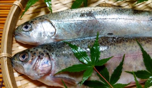 ニジマスの塩焼きがまずい…上手な塩焼き・臭み取りの方法はこちら！