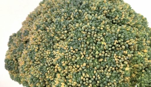 ブロッコリーが常温保存で黄色くなる？危険？変色の原因は？花も