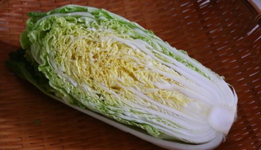 白菜の根元が腐ると？ぬめり？芯が黒い・茶色？味は？臭い？食中毒は？