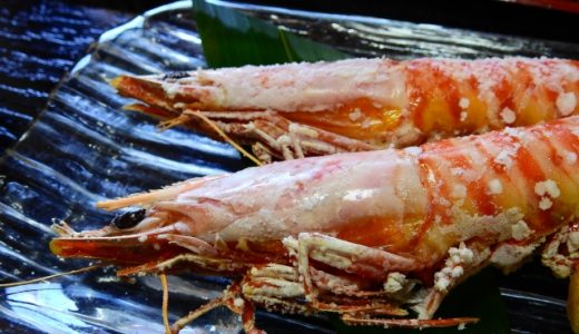 海老の塩焼きを殻ごと食べると？栄養は？バーベキューでは？食べれる種類は？