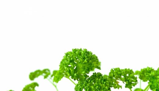 乾燥パセリの賞味期限・日持ち｜保存方法は？冷凍・常温？期限切れは？腐る？
