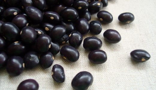黒インゲン豆に毒はあるの？食べるときの注意点とは？